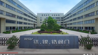Profil de la société Weidouli